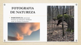 FOTOGRAFIA
DE NATUREZA
• PAREIDOLIA: procurar
formas na natureza similares
com as formas humanas .
 