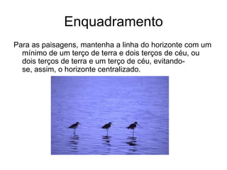 Enquadramento
Para as paisagens, mantenha a linha do horizonte com um
  mínimo de um terço de terra e dois terços de céu, ou
  dois terços de terra e um terço de céu, evitando-
  se, assim, o horizonte centralizado.
 