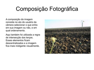 Composição Fotográfica
A composição da imagem
consiste no ato do usuário da
câmera selecionar o que entra
em sua imagem ou não, e em
qual ordenamento.
Aqui também foi utilizada a regra
de intersecção dos terços.
Esses elementos ficam
descentralizados e a imagem
fica mais instigante visualmente.
 