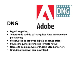 DNG
• Digital Negative;
• Tentativa de padrão para arquivos RAW desenvolvido
pela Adobe;
• Preservação de arquivos digitais de longo prazo;
• Poucas máquinas geram esse formato nativo;
• Necessita de um conversor (Adobe DNG Converter);
• Gratuito, disponível para download;
 