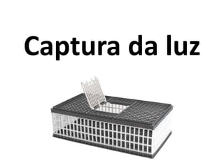 Captura da luz
 
