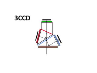 3CCD
 
