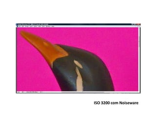 ISO 3200 com Noiseware
 