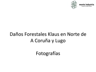 Daños Forestales Klaus en Norte de A Coruña y Lugo Fotografías 
