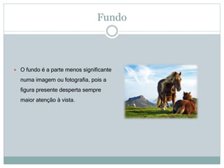 Fundo
 O fundo é a parte menos significante
numa imagem ou fotografia, pois a
figura presente desperta sempre
maior atenção à vista.
 