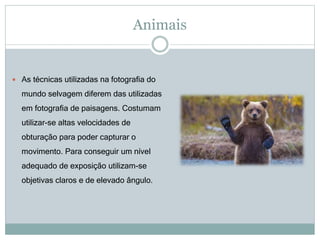Animais
 As técnicas utilizadas na fotografia do
mundo selvagem diferem das utilizadas
em fotografia de paisagens. Costumam
utilizar-se altas velocidades de
obturação para poder capturar o
movimento. Para conseguir um nível
adequado de exposição utilizam-se
objetivas claros e de elevado ângulo.
 