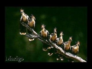 Fotografia ambiental (1)