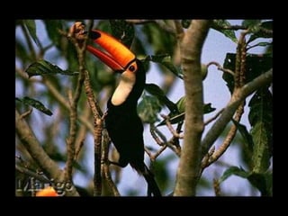 Fotografia ambiental (1)