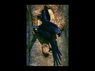 Fotografia ambiental (1)