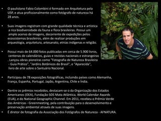 • O paulistano Fabio Colombini é formado em Arquitetura pela
USP, e atua profissionalmente como fotógrafo de natureza há
28 anos.
• Suas imagens registram com grande qualidade técnica e artística
a rica biodiversidade da fauna e flora brasileiras. Possui um
amplo acervo de imagens, decorrente de expedições pelos
ecossistemas brasileiros, além de realizar produções em
arqueologia, arquitetura, artesanato, etnias indígenas e religião.
• Possui mais de 64.000 fotos publicadas em cerca de 5.900 livros,
centenas de calendários, guias e revistas nacionais e estrangeiras
. Lançou obras pioneiras como "Fotografia de Natureza Brasileira
- Guia Prático", "Jardins Botânicos do Brasil", e "Aparecida",
livro de arte sobre o Santuário Nacional.
• Participou de 78 exposições fotográficas, incluindo países como Alemanha,
França, Espanha, Portugal, Japão, Argentina, Chile e Índia.
• Dentre os prêmios recebidos, destacam-se o da Organização dos Estados
Americanos (OEA), Fundação SOS Mata Atlântica, World Calendar Awards
(EUA), e do National Geographic Channel. Em 2011, recebeu o Prêmio Verde
das Américas - Greenmeeting, pela contribuição para o desenvolvimento e
preservação ambiental através de suas imagens.
• É diretor de fotografia da Associação dos Fotógrafos de Natureza - AFNATURA.
 