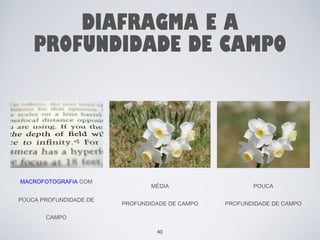 DIAFRAGMA E A 
PROFUNDIDADE DE CAMPO 
40 
MACROFOTOGRAFIA COM 
POUCA PROFUNDIDADE DE 
CAMPO 
MÉDIA 
PROFUNDIDADE DE CAMPO 
POUCA 
PROFUNDIDADE DE CAMPO 
 