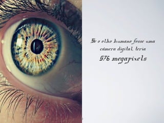 Se o olho humano fosse uma 
câmera digital, teria 
576 megapixels 
81 
 