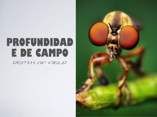 PROFUNDIDAD 
E DE CAMPO 
depth of field 
60 
 
