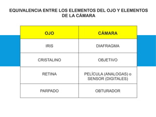 EQUIVALENCIA ENTRE LOS ELEMENTOS DEL OJO Y ELEMENTOS
DE LA CÁMARA
OJO CÁMARA
IRIS DIAFRAGMA
CRISTALINO OBJETIVO
RETINA PELÍCULA (ANALOGAS) o
SENSOR (DIGITALES)
PARPADO OBTURADOR
 