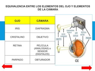EQUIVALENCIA ENTRE LOS ELEMENTOS DEL OJO Y ELEMENTOS
DE LA CÁMARA
OJO CÁMARA
IRIS DIAFRAGMA
CRISTALINO OBJETIVO
RETINA PELÍCULA
(ANALOGAS) o
SENSOR
(DIGITALES)
PARPADO OBTURADOR
 