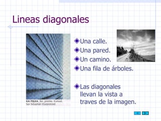 Lineas diagonales Una calle. Una pared. Un camino. Una fila de árboles. Las diagonales llevan la vista a traves de la imagen. 