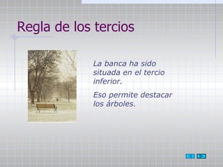 Regla de los tercios La banca ha sido situada en el tercio inferior.  Eso permite destacar los árboles. 