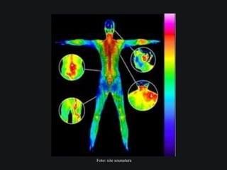 Foto: site sounatura
 