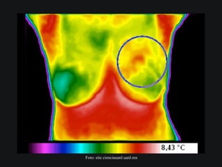 Foto: site cienciauanl.uanl.mx
 