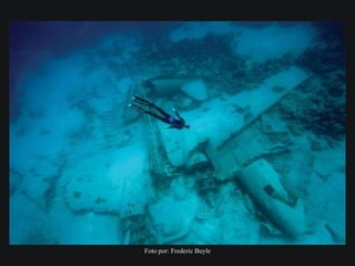 Foto por: Frederic Buyle
 