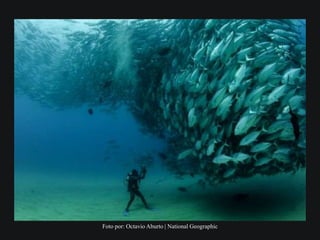 Foto por: Octavio Aburto | National Geographic
 