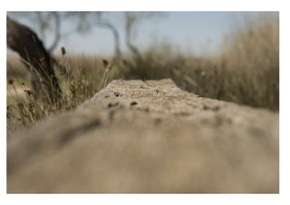 FOTOGRAFIA DE REPORTAJE.veronica sanchez riquelme