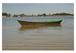 FOTOGRAFIA DE REPORTAJE.veronica sanchez riquelme