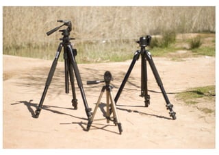 FOTOGRAFIA DE REPORTAJE.veronica sanchez riquelme