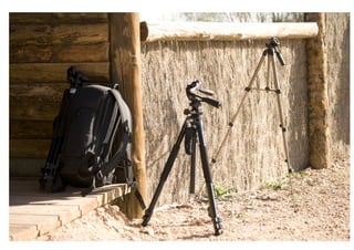 FOTOGRAFIA DE REPORTAJE.veronica sanchez riquelme