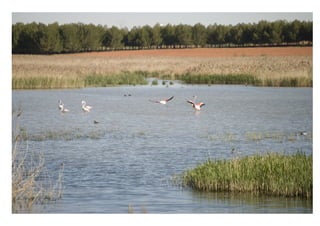 FOTOGRAFIA DE REPORTAJE.veronica sanchez riquelme
