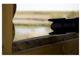 FOTOGRAFIA DE REPORTAJE.veronica sanchez riquelme