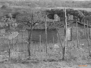 Foto: Michel
Foto: Michel
 