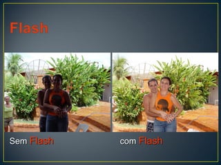 Sem Flash com Flash
Foto: Michel
 