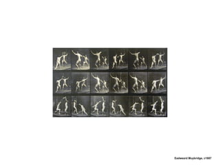 Eadweard Muybridge, c1887   