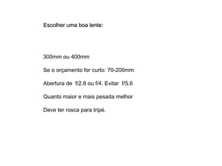 Escolher uma boa lente: 300mm ou 400mm Se o orçamento for curto: 70-200mm Abertura de  f/2.8 ou f/4. Evitar  f/5.6 Quanto maior e mais pesada melhor Deve ter rosca para tripé.  