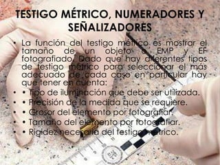TESTIGO MÉTRICO, NUMERADORES Y
SEÑALIZADORES
• La función del testigo métrico es mostrar el
tamaño de un objeto o EMP y EF
fotografiado. Dado que hay diferentes tipos
de testigo métrico para seleccionar el más
adecuado de cada caso en particular hay
que tener en cuenta:
• • Tipo de iluminación que debe ser utilizada.
• • Precisión de la medida que se requiere.
• • Grosor del elemento por fotografiar.
• • Tamaño del elemento por fotografiar.
• • Rigidez necesaria del testigo métrico.
 