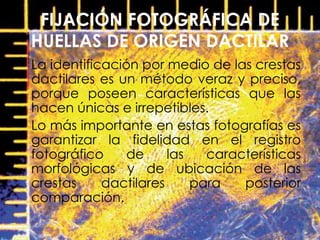 FIJACIÓN FOTOGRÁFICA DE
HUELLAS DE ORIGEN DACTILAR
• La identificación por medio de las crestas
dactilares es un método veraz y preciso,
porque poseen características que las
hacen únicas e irrepetibles.
• Lo más importante en estas fotografías es
garantizar la fidelidad en el registro
fotográfico de las características
morfológicas y de ubicación de las
crestas dactilares para posterior
comparación.
 