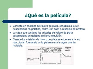¿Qué es la película?
 Consiste en cristales de Haluro de plata, sensibles a la luz,
suspendidos en gelatina, sobre una base o respaldo de acetato.
 La capa que contiene los cristales de haluro de plata
suspendidos en gelatina se llama emulsión.
 Cuando los cristales de haluro de plata se exponen a la luz
reaccionan formando en la película una imagen latente
invisible.
 