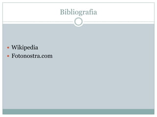 Bibliografia



 Wikipedia
 Fotonostra.com
 