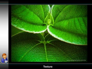 Textura
 