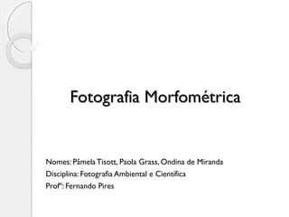 Fotografia Morfométrica

Nomes: Pâmela Tisott, Paola Grass, Ondina de Miranda
Disciplina: Fotografia Ambiental e Científica
Profº: Fernando Pires

 