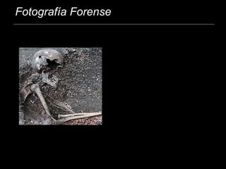 Fotografía Forense
 