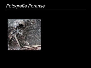 Fotografía Forense
 