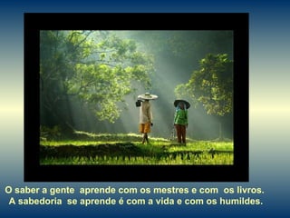 O saber a gente  aprende com os mestres e com  os livros.  A sabedoria  se aprende é com a vida e com os humildes. 