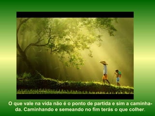 O que vale na vida não é o ponto de partida e sim a caminha-da. Caminhando e semeando no fim terás o que colher . 