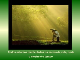 Todos estamos matriculados na escola da vida, onde o mestre é o tempo   
