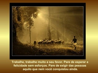 Trabalhe, trabalhe muito a seu favor. Pare de esperar a  felicidade sem esforços. Pare de exigir das pessoas  aquilo que nem você conquistou ainda. 