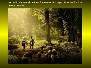A razão da sua vida é você mesmo. A tua paz interior é a tua meta de vida. 