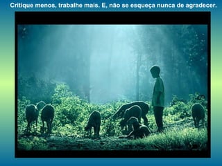 Critique menos, trabalhe mais. E, não se esqueça nunca de agradecer. 