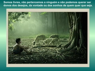 Somos livres, não pertencemos a ninguém e não podemos querer ser donos dos desejos, da vontade ou dos sonhos de quem quer que seja. 